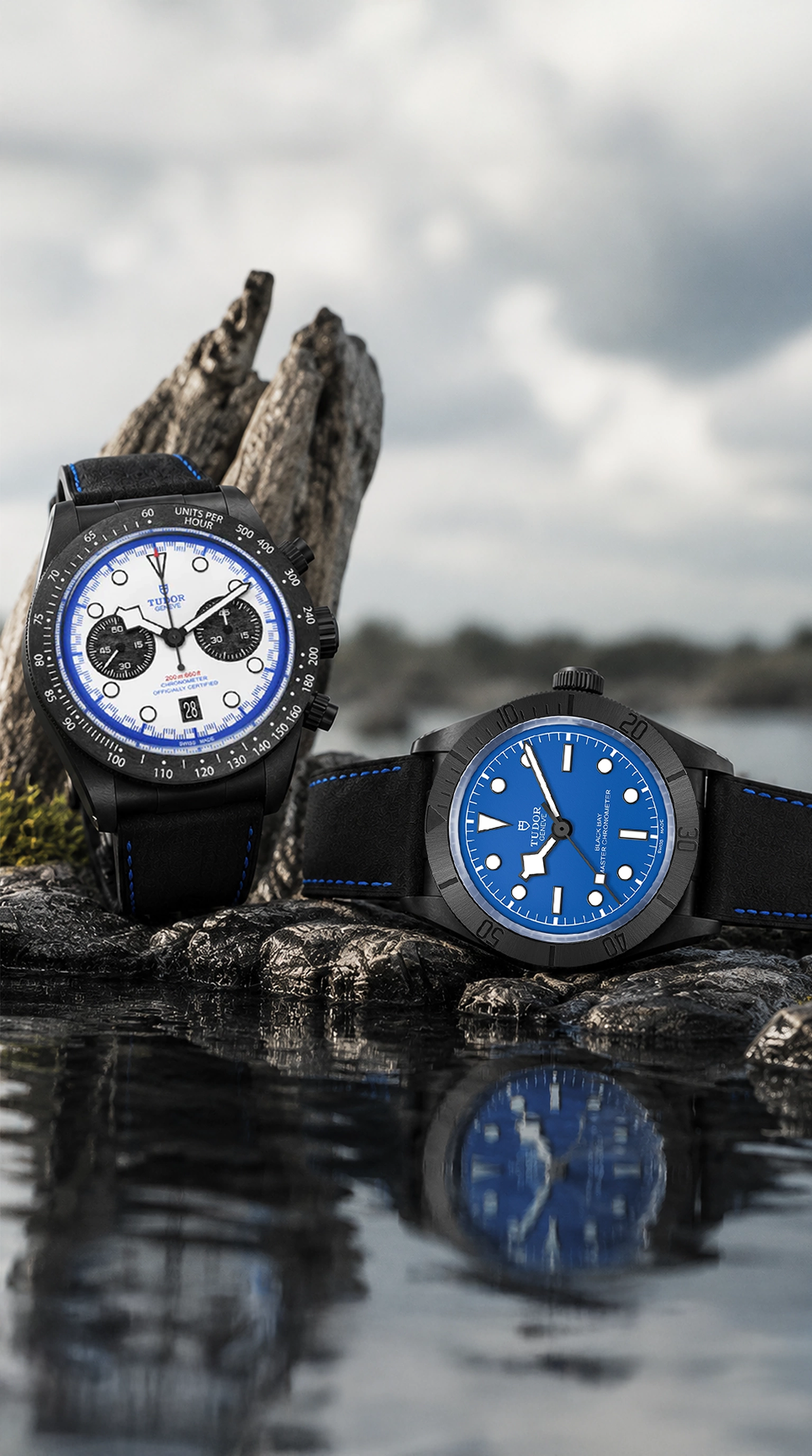 <h2>India's Trusted Destination for Pre-Owned Tudor Watches</h2>
